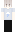 Ninja Minecraft Skin