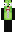iPhone Minecraft Skin