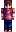 Nivarelys Minecraft Skin