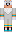 Bustom Minecraft Skin
