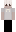 stealnvvs Minecraft Skin