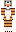 tigral Minecraft Skin