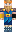 PMDefender Minecraft Skin