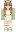 NasiGQreng Minecraft Skin