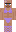 AACP Minecraft Skin