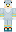 Bustom Minecraft Skin