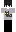 Ninja Minecraft Skin