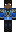 InFirstPerson Minecraft Skin