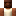 GTA Minecraft Profile