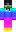 InFirstPerson Minecraft Skin