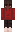 InFirstPerson Minecraft Skin
