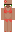 AAJN Minecraft Skin
