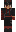 InFirstPerson Minecraft Skin
