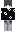 stealnvvs Minecraft Skin