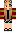 Forgot Minecraft Skin