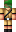 Safari Minecraft Skin