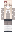 acumensans Minecraft Skin