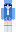 medelia Minecraft Skin