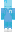 InFirstPerson Minecraft Skin