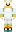 Bustom Minecraft Skin