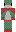 Wifies Minecraft Skin