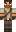 pilon02 Minecraft Skin