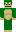 Green Minecraft Skin
