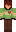 Tqopl Minecraft Skin