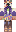Swrdom Minecraft Skin