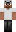 Dingusluca Minecraft Skin