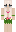 bed Minecraft Skin