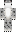 Omziscool Minecraft Skin