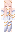 Ling_Nighty Minecraft Skin