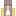 Bee596 Minecraft Profile