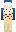 Omziscool Minecraft Skin