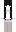 Trans Minecraft Skin