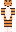 tigral Minecraft Skin