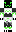 Bustom Minecraft Skin