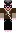 Bustom Minecraft Skin