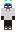 InFirstPerson Minecraft Skin