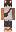 RustHillMC Minecraft Skin