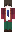 wqoncuseido Minecraft Skin