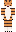 tigral Minecraft Skin