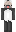 Pug Minecraft Skin