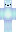 Wallibear Minecraft Skin
