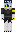 TheCraftinglord Minecraft Skin