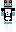 BwaD_ Minecraft Skin
