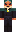 SE Minecraft Skin