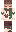 hacoi1711d2lp Minecraft Skin