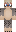 squiddude8 Minecraft Skin